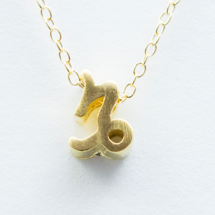 3D Zodiac Sign Capricorn Necklace - 24k Gold Horoscope Charm Necklace
